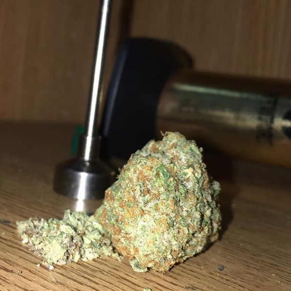 PathogenZero's tweet image. A #PathogenZeroApproved start to the day. Protect your crop so that you're always enjoying safe/healthy high quality production in your garden!

PathogenZERO.com