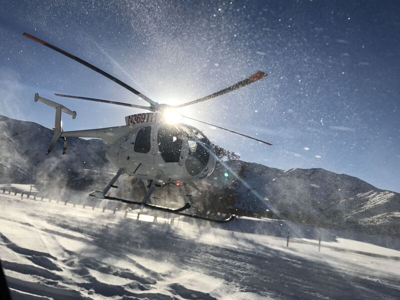 MDHelicopters's tweet photo. MD500D operated by Hells Canyon Helicopters works with wildlife biologists to capture, collar, and study wildlife all across the state. Thrilled to be a part of their efforts in wildlife preservation! Thank you to @rotorjockey303 for the picture! #whiteout #MD500D #wildlife https://t.co/s5uC4f04Ns