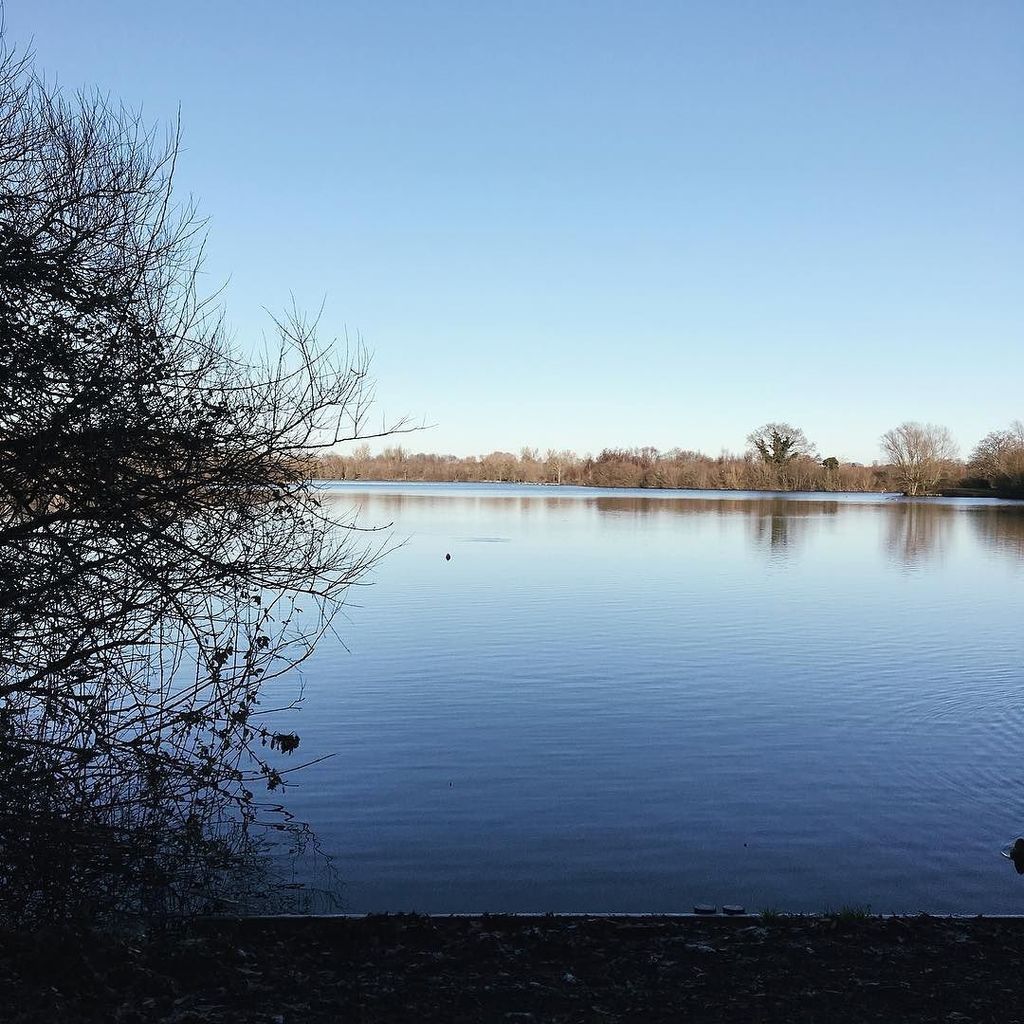agreenerfamily's tweet photo. After sitting on our bums for three days straight, eating food and drinking all the wine, this blast of fresh air and stretch of our legs today was very much appreciated!
Hope you’ve all had a lovely Christmas ☺️
.
.
.
#december #winterwalk #berkshir… https://t.co/JrqKDRCmxP https://t.co/Fz4iAC4tZ4