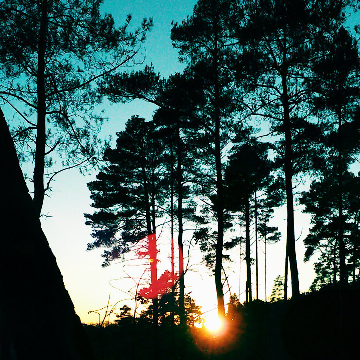 Ian Millar tweet media