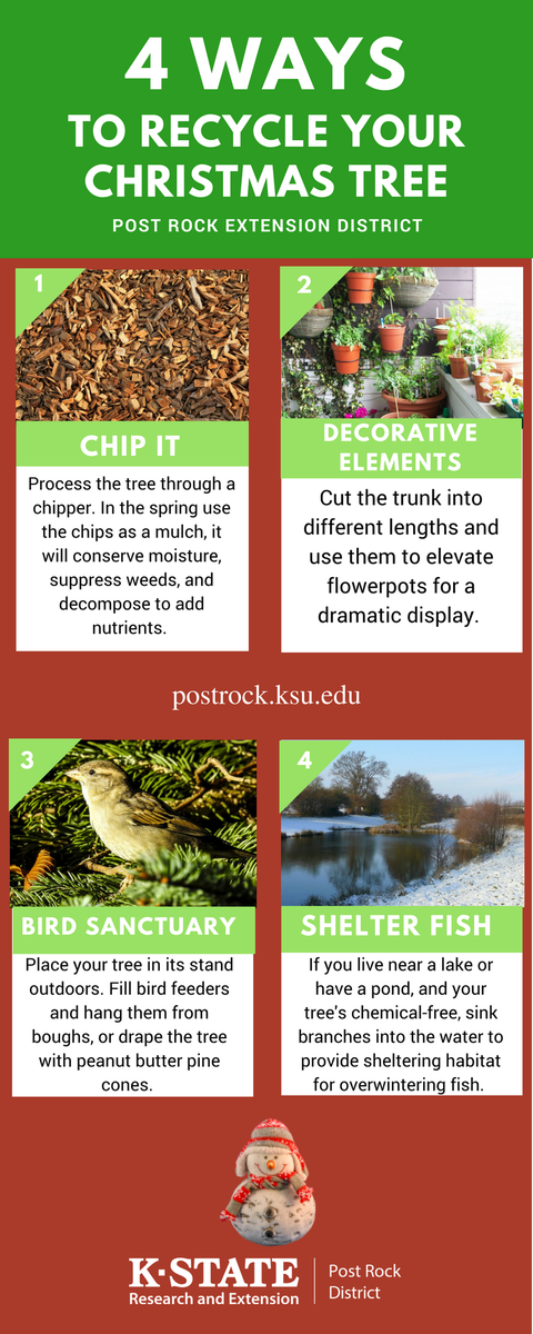 Extend holiday joy into the new year with these 4 ways to #recycle your Christmas tree. #KSRE