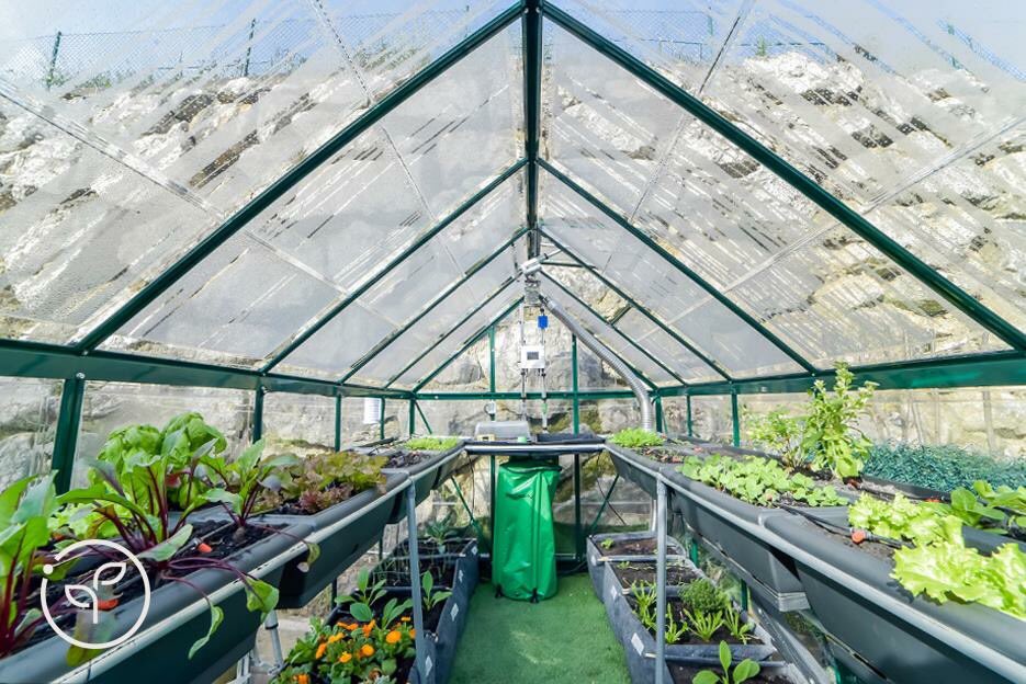CanopiabyPalram's tweet photo. We are excited to be a part of IO Greenhouse project for automated domestic grow systems, where Our Harmony™ models are used an intelligent greenhouse 🌱
Now crowd-funding at Indiegogo > https://t.co/7ptffFq3sL
#growyourown #greenhouse #organicfarming #palram https://t.co/9C6oZxNvk9