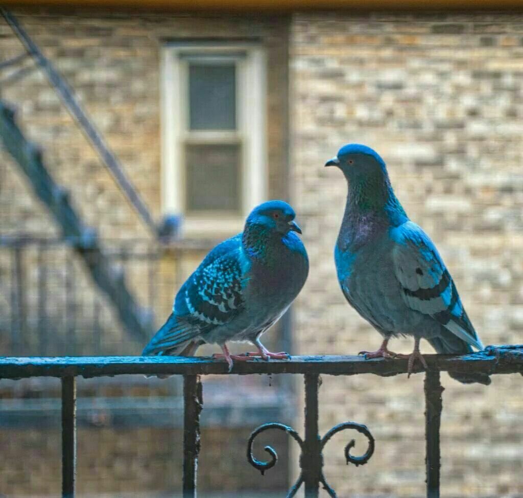 Kamil9558's tweet photo. يا ناصحي في الحب كف ولا تزد
ضاعفت همي، ف الفؤاد ودائي
ان كنت تعرف ما الدواء فهاته
او دع عنك نصائح الثقلاء.، https://t.co/kfpOJypwfg