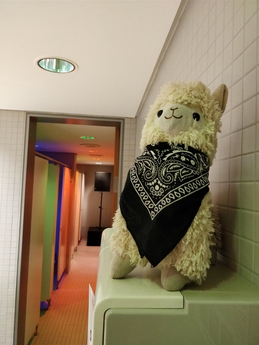 DasKarline's tweet photo. Illegale Klopartys? Ich doch nicht. #34c3 https://t.co/pVm5N1kdoh