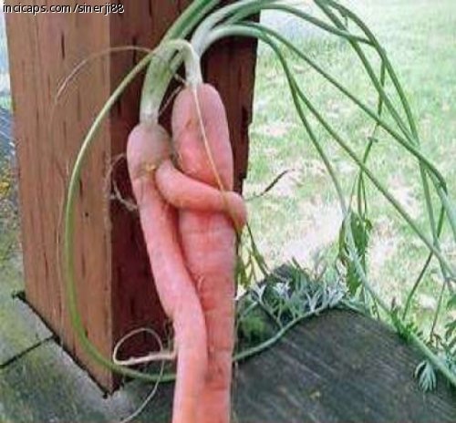 Sevelim Sevilelim...