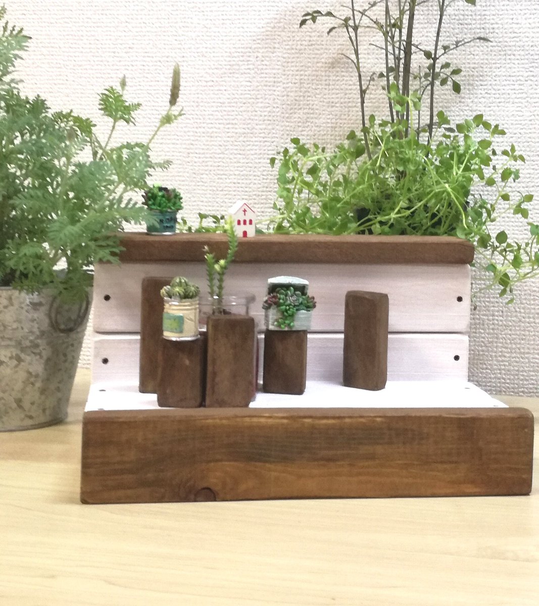 O Xrhsths Tonton Maeお部屋でガーデン Sto Twitter お部屋の中でガーデニング ハンドメイド ガーデニング ミニ ガーデン セリア インテリア 体調不良 多肉植物 ベンチ