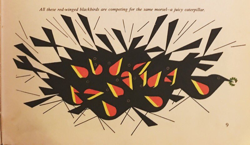 ILL_SPECS's tweet photo. The Animal Kingdom: An Introduction to the Major Groups of Animals
By #GeorgeSFicher
Illustrations #CharlesHarper
©️1968
#nature #art #illustration #illustrators https://t.co/q8uAQWrdsm