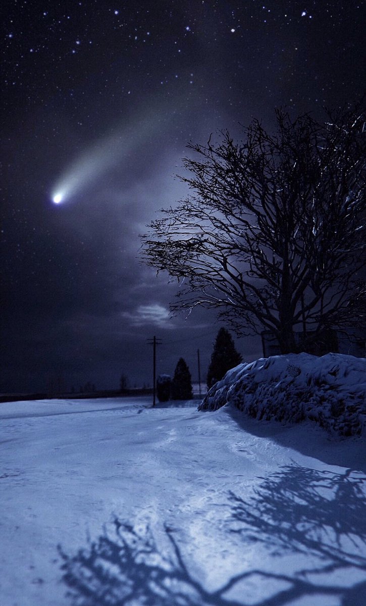 Virtual_Visionz's tweet image. North Yankton
#GTAOnline #GrandTheftAutoV #GTAV #GTAPhotography #VirtualPhotography #snowy #landscape