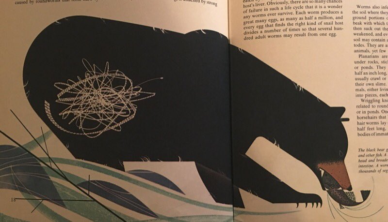 ILL_SPECS's tweet photo. The Animal Kingdom: An Introduction to the Major Groups of Animals
By #GeorgeSFicher
Illustrations #CharlesHarper
©️1968
#nature #art #illustration #illustrators https://t.co/a6F1toBHoj