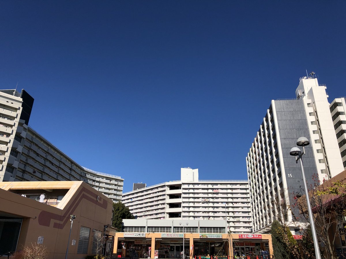 来ちゃった。 