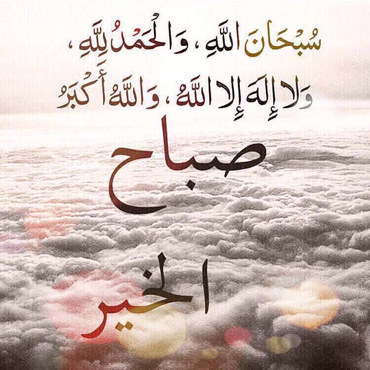 zayed699's tweet image. 