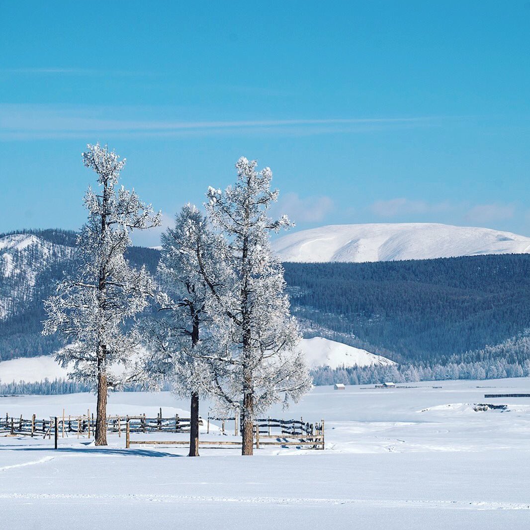 Цэвэр агаар үнэртхээр явлаа 
Хөвсгөл аймгийн Ренчинлхүмбэ сум