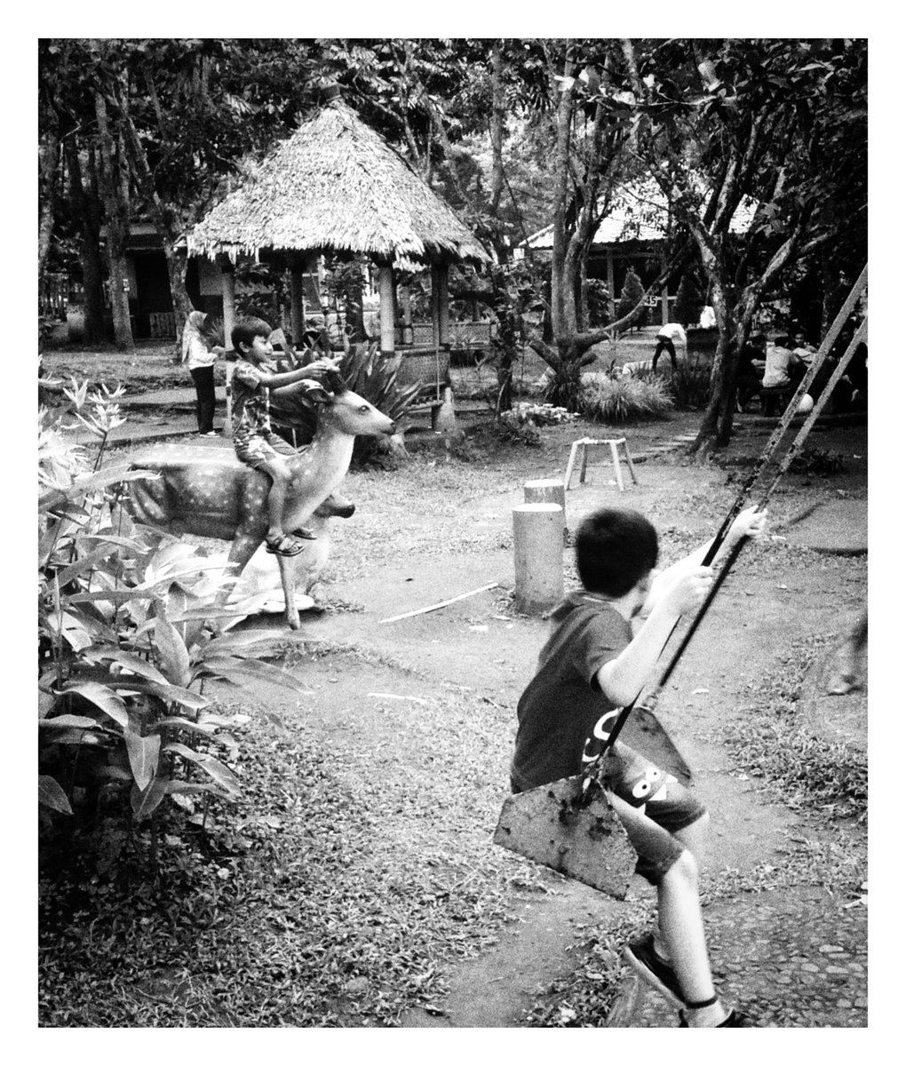 Let's play, I'am show again on twitter