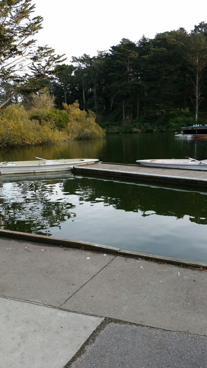 roadsidephil's tweet photo. Just took a rowboat out for a spin on Stow Lake in Golden Gate Park with my girlfriend. Called the bow "the pointy part". #piratefail https://t.co/JUY6iRW1G7
