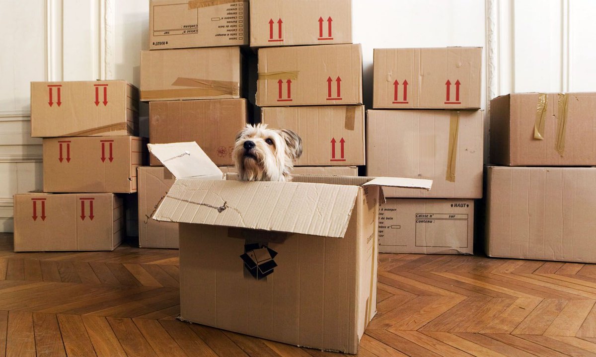 WestpacIntl's tweet photo. Quick and easy packing tips to get you into your new home fast. https://t.co/6y2lPPqBGj https://t.co/JizTj2pe92