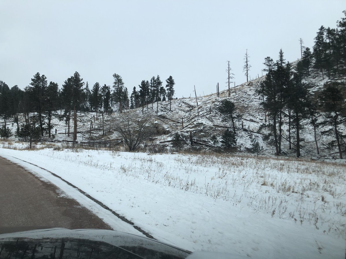 mgeheren's tweet photo. Donβt let the fires stop you from visiting @CusterStatePark! Absolutely beautiful sight. It was on my list to stop on this trip, but after #legionlakefire I had to go back to best state park. #HiFromSD https://t.co/sWqA1NlZT7