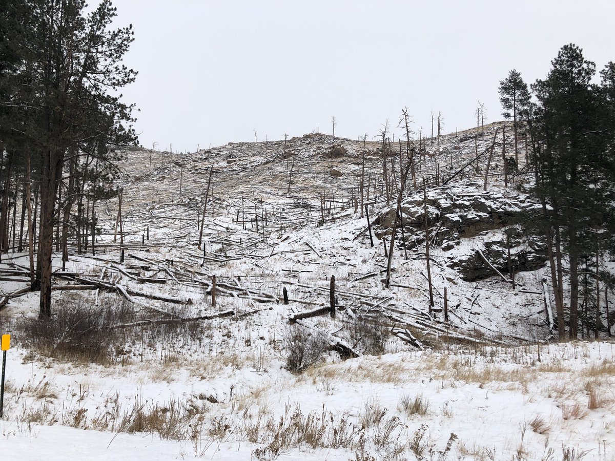 mgeheren's tweet photo. Donβt let the fires stop you from visiting @CusterStatePark! Absolutely beautiful sight. It was on my list to stop on this trip, but after #legionlakefire I had to go back to best state park. #HiFromSD https://t.co/sWqA1NlZT7