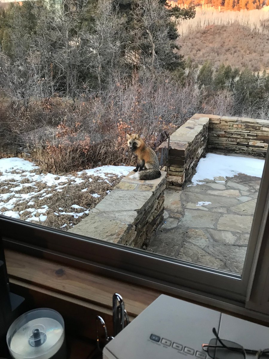 CharlieDaniels's tweet image. Had a visitor today