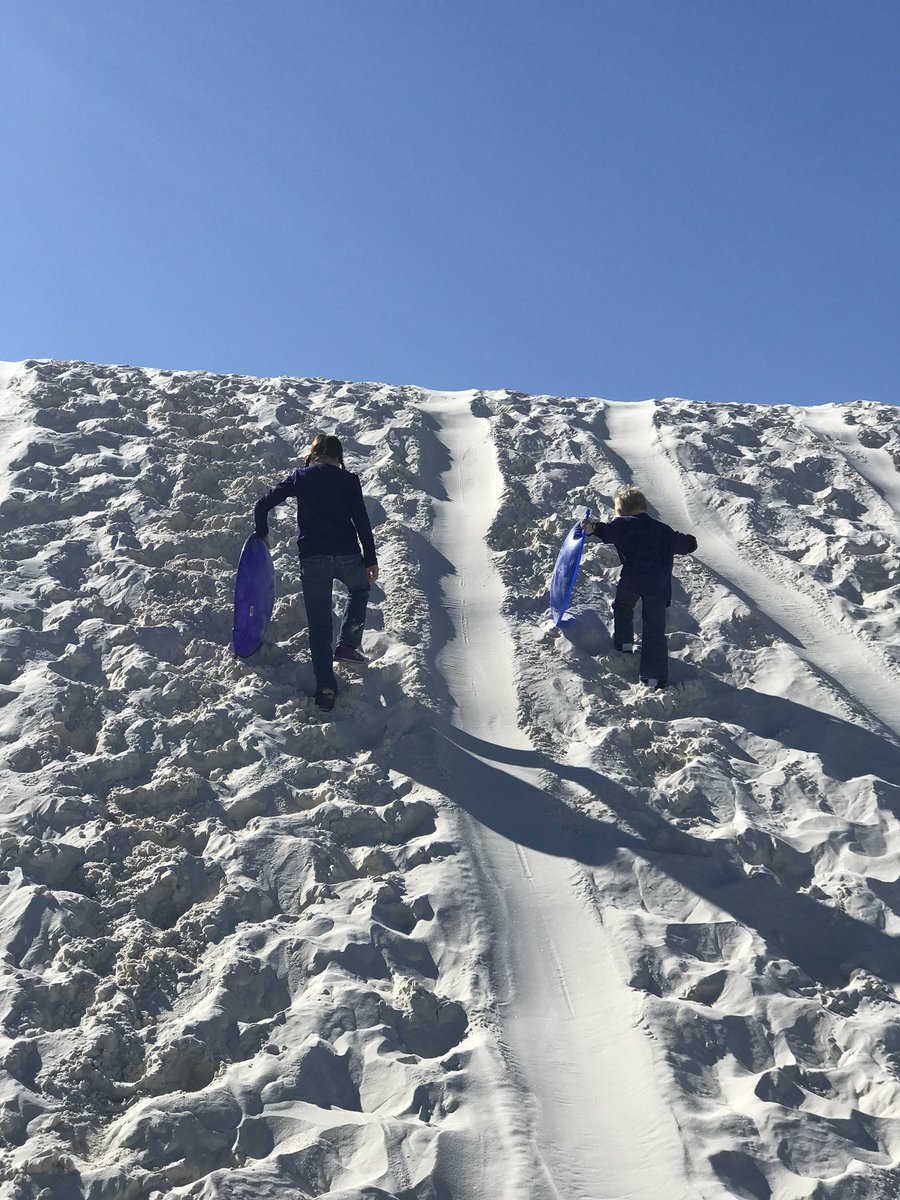 Phillip Reeder (@PhilFrog) | Twitter