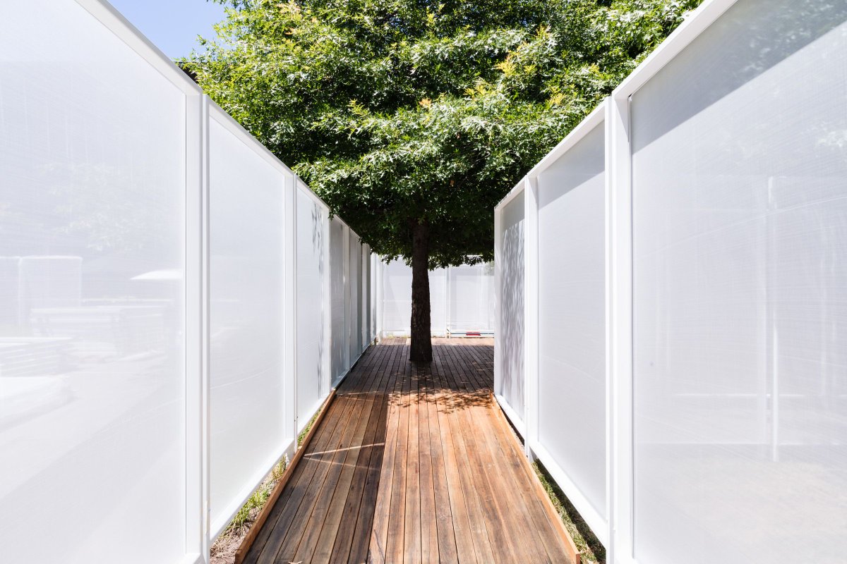 NGV on Twitter "The NGV’s garden has been transformed into a mazelike