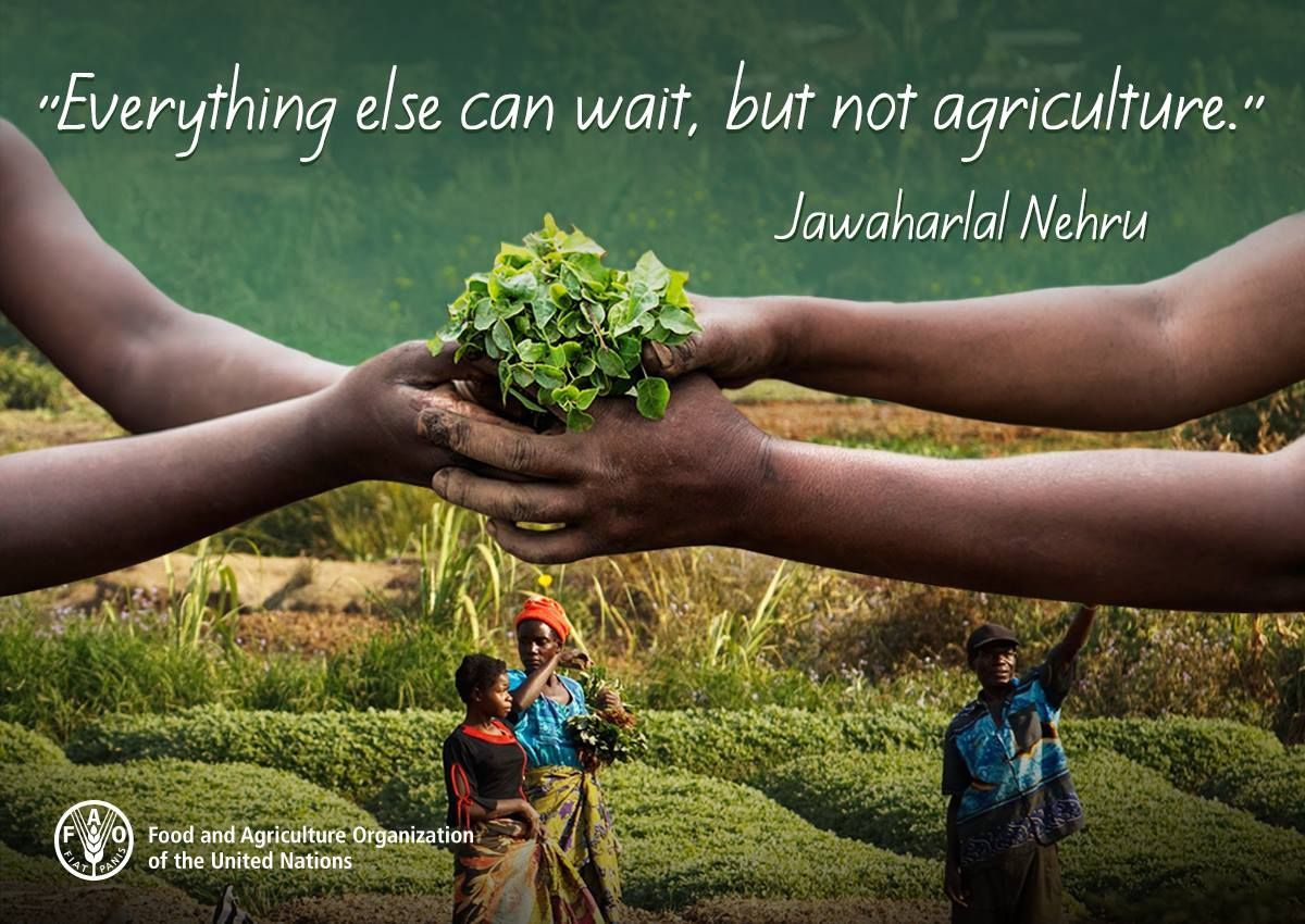 FAOKnowledge's tweet photo. #ZeroHunger starts with agriculture. https://t.co/xB4fAsV5uk