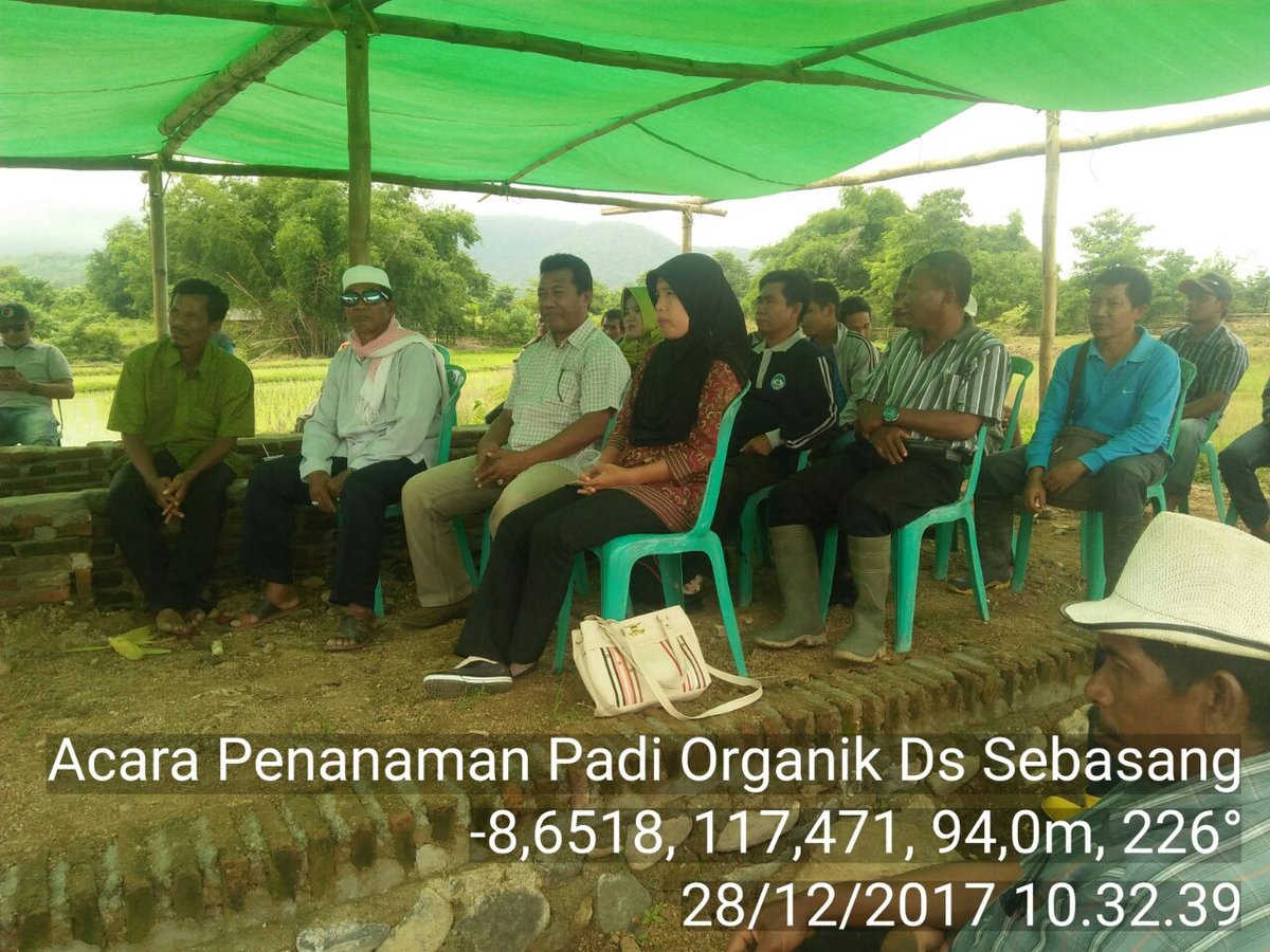 serealiatp's tweet photo. Penanaman padi organik di Desa Sebasang, kabupaten sumbawa bersama kadis pertanian sumbawa dan Dandim @Ditjen_TP_News @kementan @Setditjen_TP https://t.co/cUBgMrPquJ