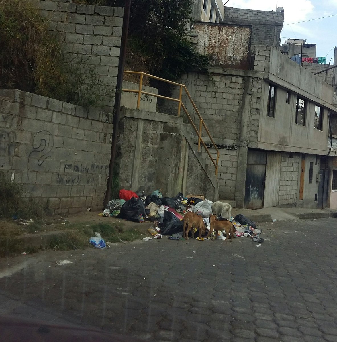 josevicalderon's tweet photo. #ReportesComunitarios
En la Parroquia de San Juan, Sector El Placer Alto: Se tiene problemas en la recolección de basura en cada pie de escalinata. .@QuitoVigila
CC. @EmAseoQuito @toctiucoUIO @msocialcentrobv @amcquito @saludquito @ZonaCentroQuito @aQUITOdosEc https://t.co/W9swCpQy1Y