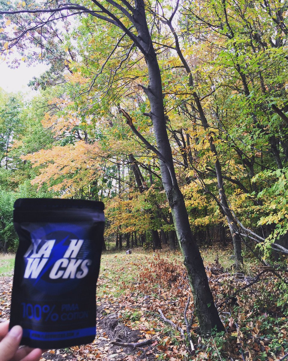 Flashwicks's tweet image. 