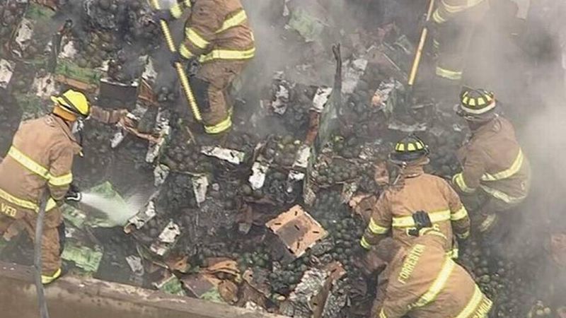 9NewsQueensland's tweet photo. 10 Tonnes of smashed avo on highway after truck catches fire. #9News
https://t.co/WXItDKhJhl https://t.co/ywtm0Z8kRz
