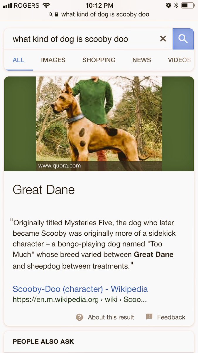 sammymartellll's tweet photo. What?
There’s no way he was a Great Dane 😂 #thatsbadass https://t.co/YWCa8veEyx