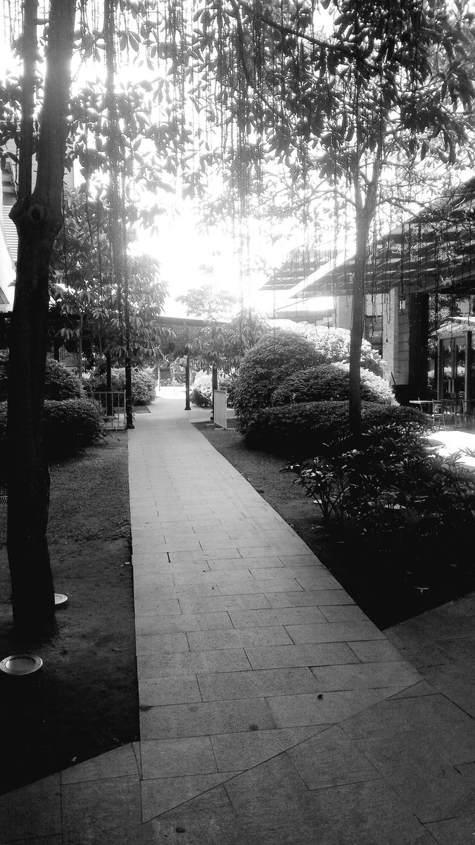 Seven days, seven black and white photos of your life. No faces, no explanation. Challenge someone new everyday. 

Day 3 of 7. I was challenged by <a href="/pantastekmiggy/">T</a>