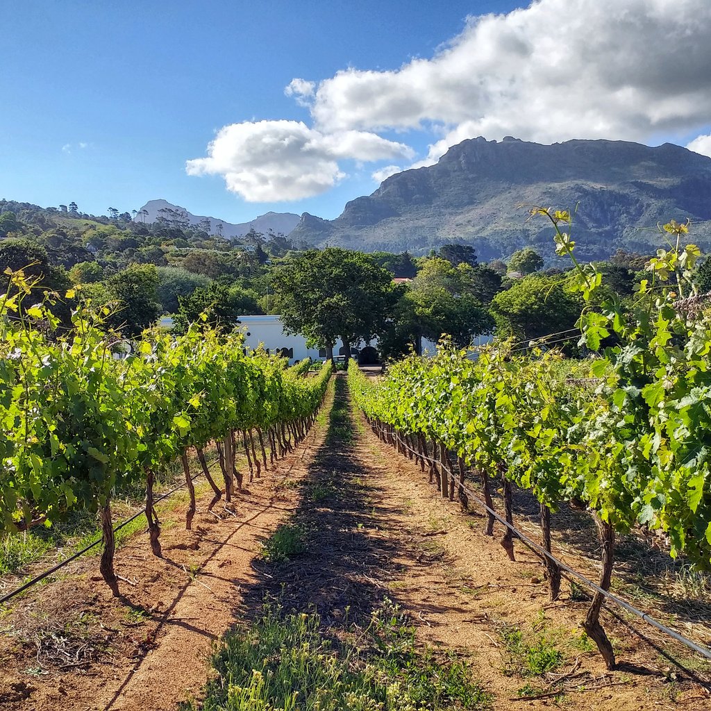 The Roaming Giraffe #Travel Writer tweet media