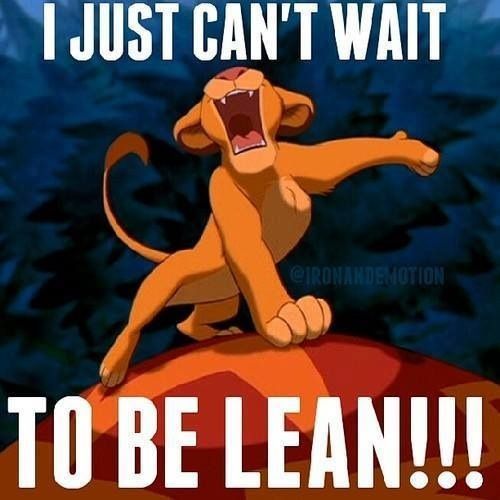 LoseItMag's tweet photo. Walking into the new year like... #FridayFunny #LoseItTogether #lowcarb #realfood #lean2018 https://t.co/8YFiFE6k3d