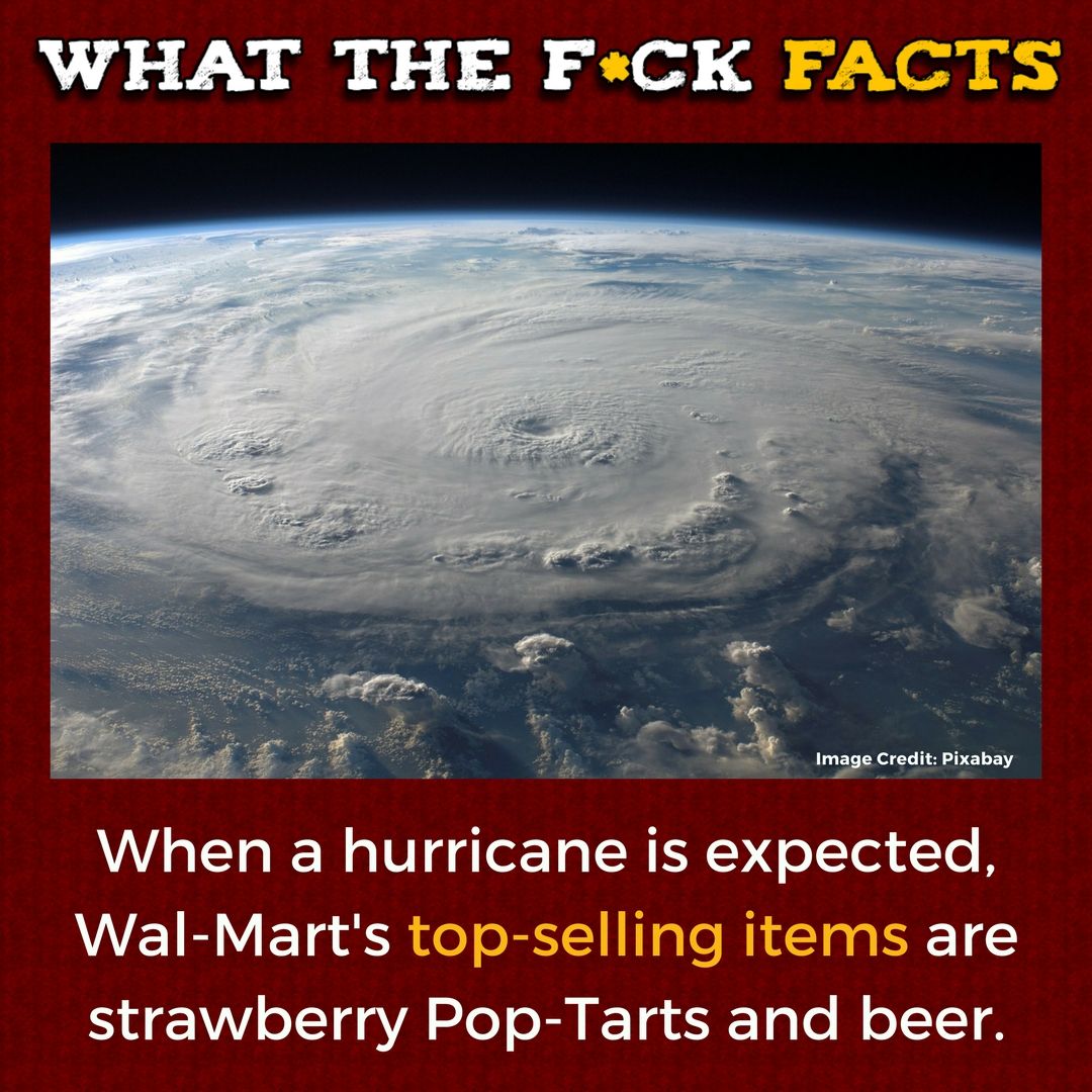 WhatTheFFacts's tweet photo. https://t.co/RaueCvmd79