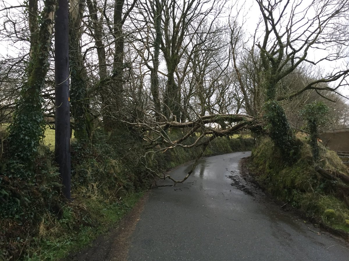 aledscourfield's tweet photo. Tree blocking the road just outside @Mynachlogddu . Council and police have been notified and are on the way. https://t.co/aWVeiZacQa