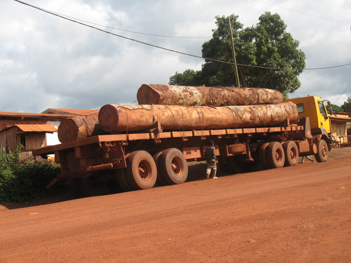 Info_Congo's tweet photo. Revenu Forestier : un gateau qui divise. L’Etat a restitué 6,75% comme quote part de la Redevance forestière Annuelle (RFA) à la communauté de Mbang, au lieu de 10% comme prévu dans la loi. 
https://t.co/Uky53mni7A https://t.co/rE1FGVS542