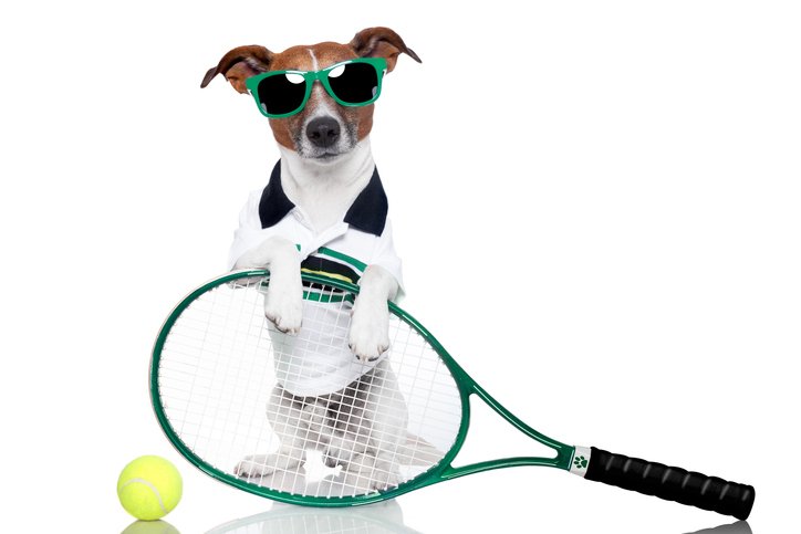 Find fun and fitness in 2018 bit.ly/2xTl705 #tenniscoaching #tennis #Maidstone