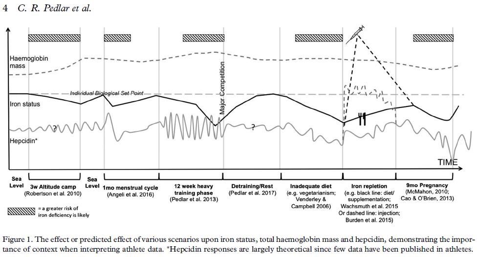 pedlarcr's tweet photo. Context and longitudinal view is important when considering iron deficiency and the Female Athlete https://t.co/B0DhAASG57 https://t.co/yxGMReeety