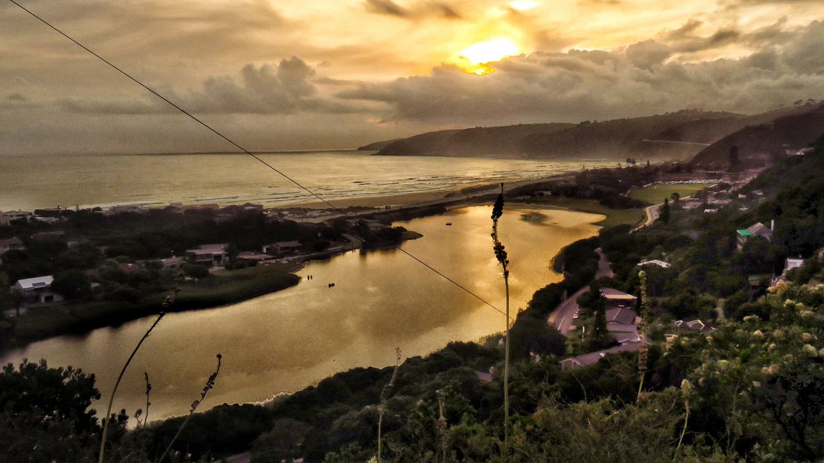 Travelbug Rose🐞 tweet media