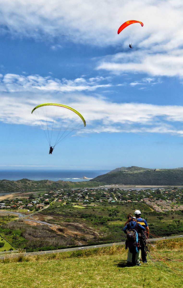 Travelbug Rose🐞 tweet media