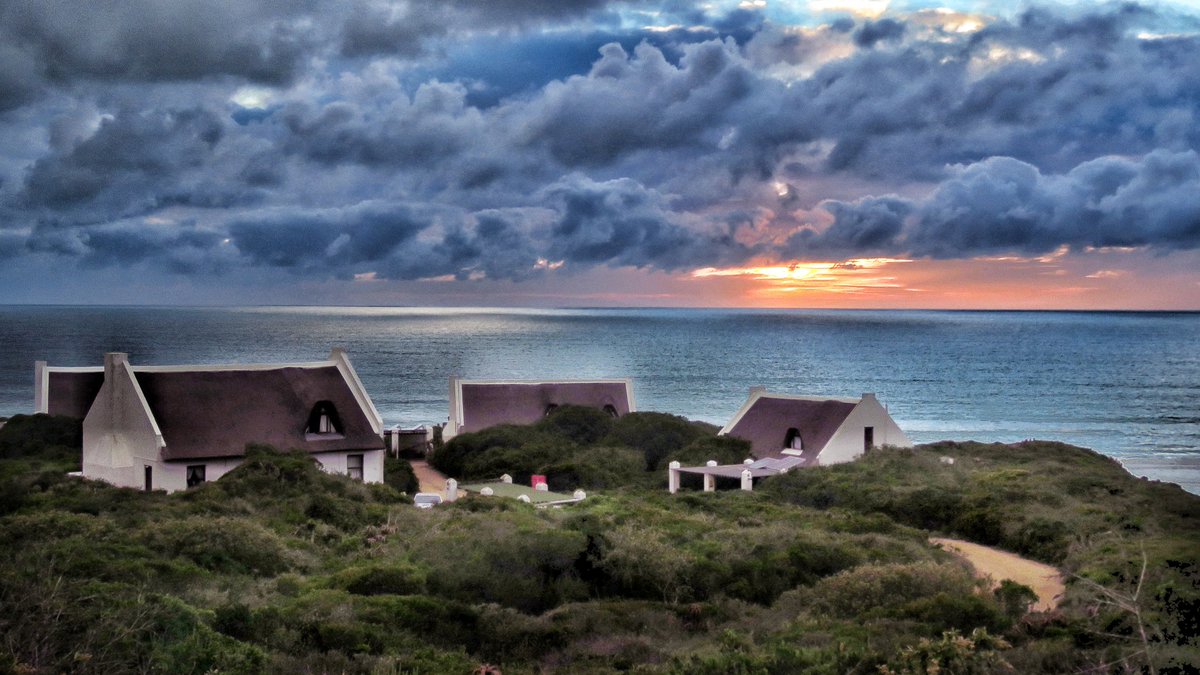 Travelbug Rose🐞 tweet media