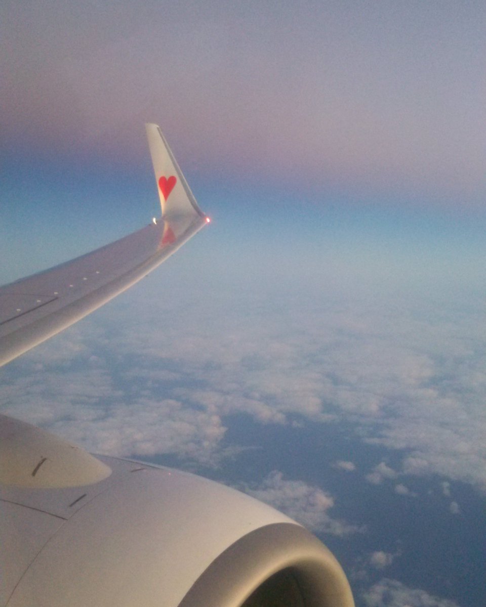 TOOYOUNG_REC's tweet photo. Vacation Three 沖縄のライブにお越しいただいたみなさま、滞在中出会ったみなさん、Lampのみなさん、ありがとうございました!!
また来年お会いしましょう!!
#桜坂劇場 #mahoucoffee #lamp #vacationthree https://t.co/JAWkQgby0J