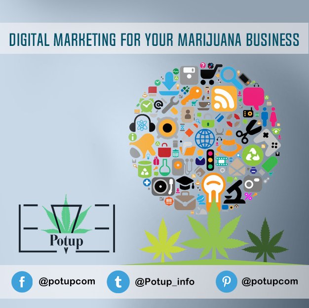 Potup_info's tweet photo. Tips for Digital Marketing for Your Marijuana Business... Visit @ https://t.co/sWiOTwFqsq https://t.co/zrdFlrGkZE