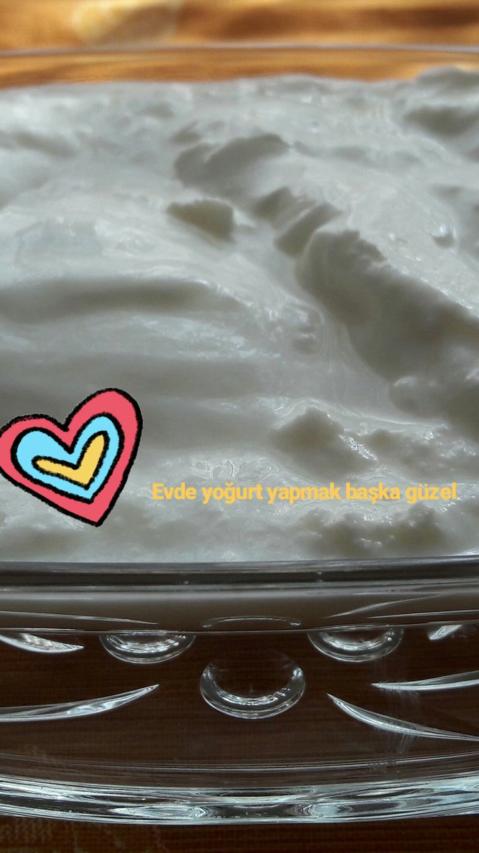 semracelep05's tweet photo. Evde yoğurt mayalama ⚱
#tuzlumakas.blogspot.com 
#takip #blogger #yoğurt #elyapımı #hobby #hobi #mutfaksanatları #kitchen #chef #food #foodie #ınstafood #eat #eatingnyc #culinary #yummy #tarifsunum #turkish https://t.co/xPLdqokIN6