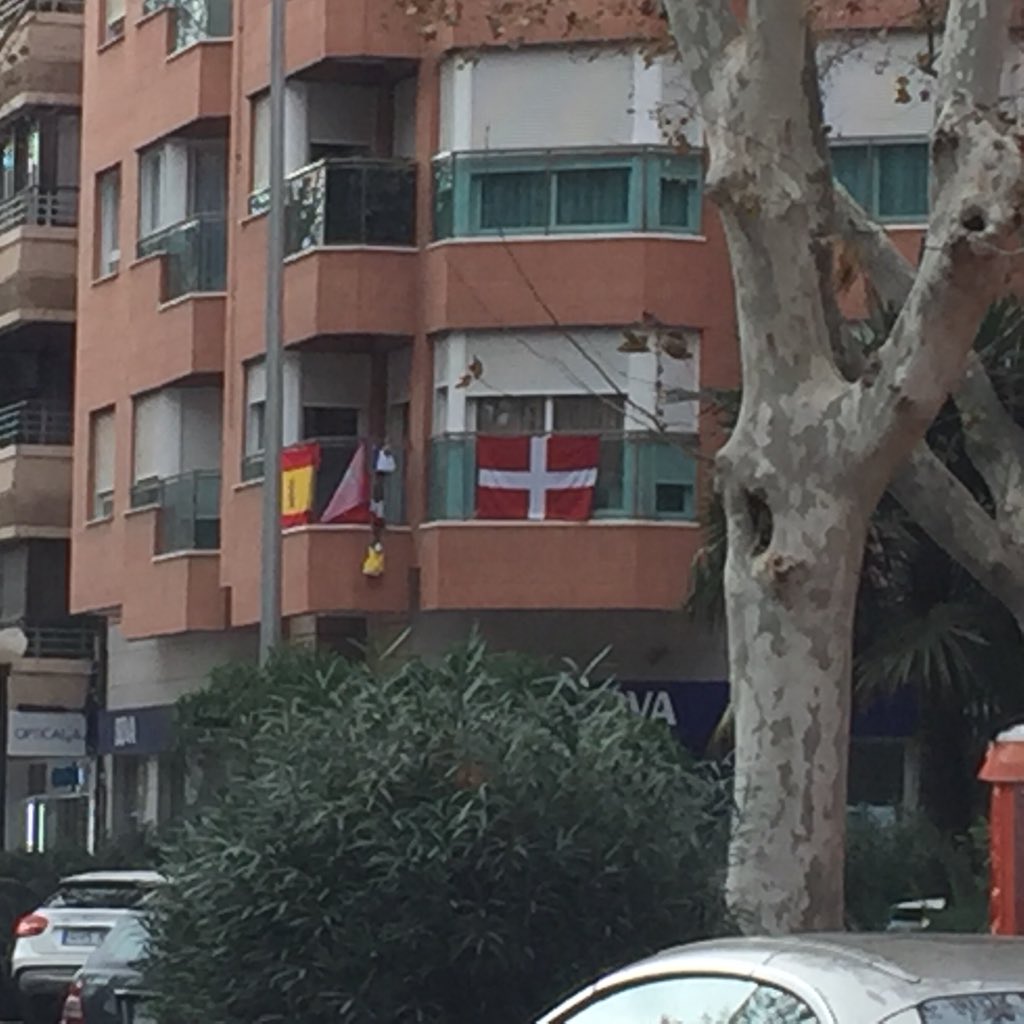 Santiagodelalam's tweet photo. Que alegría me da verlas 🇩🇰 luciendo estilosas, cargadas de verdad y justicia, junto con las de nuestra nación 🇪🇸 en los balcones de mi querida Cartagena.Cada vez somos más @PlataformaBipro @2esMas .Todo un orgullo ser Cartagenero y español, sin más apellidos ¡Adelante! https://t.co/zdzXdiCMKe