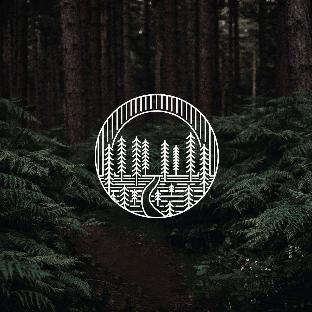 Disclosed Creations tweet media