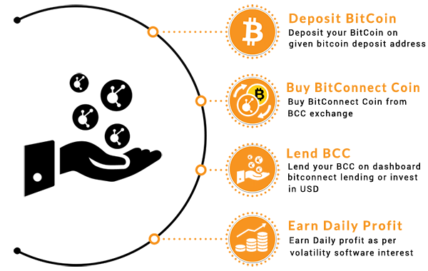 Final Bitcoin tweet media