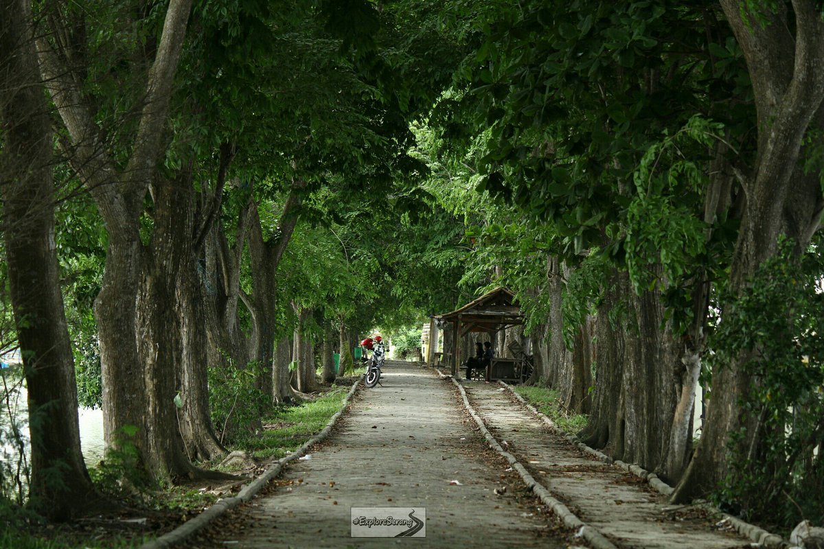 exploreserang's tweet photo. Sisi Tasikardi yang cukup keren nih untuk spot foto. Dengan latar belakang pepohonan rindang dikanan kirinya. Menjadikan tempat ini sejuk. Posisinya sebelah utara dari pintu masuk.

Kuy ah ke Tasikardi. Muehehehe. #tasikardi #exploreserang https://t.co/4oM66AyNCI