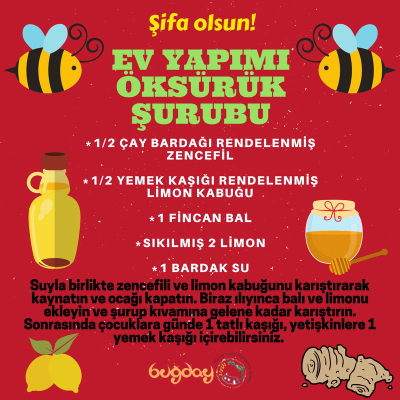 Prospan Surup Nedir Ne Ise Yarar Ne Kadar Prospektusu Hamilelikte Kullanimi