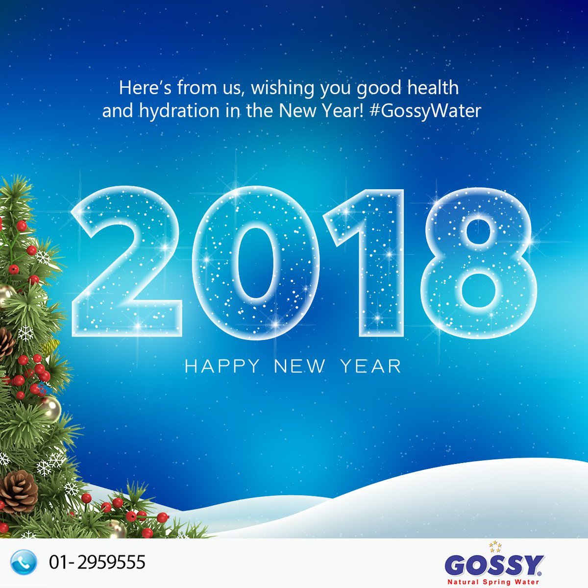 GOSSYWATERS's tweet photo. We are counting down to the new year! What are your resolutions? #GossyWater #GoGossy https://t.co/8FdWJJiO47